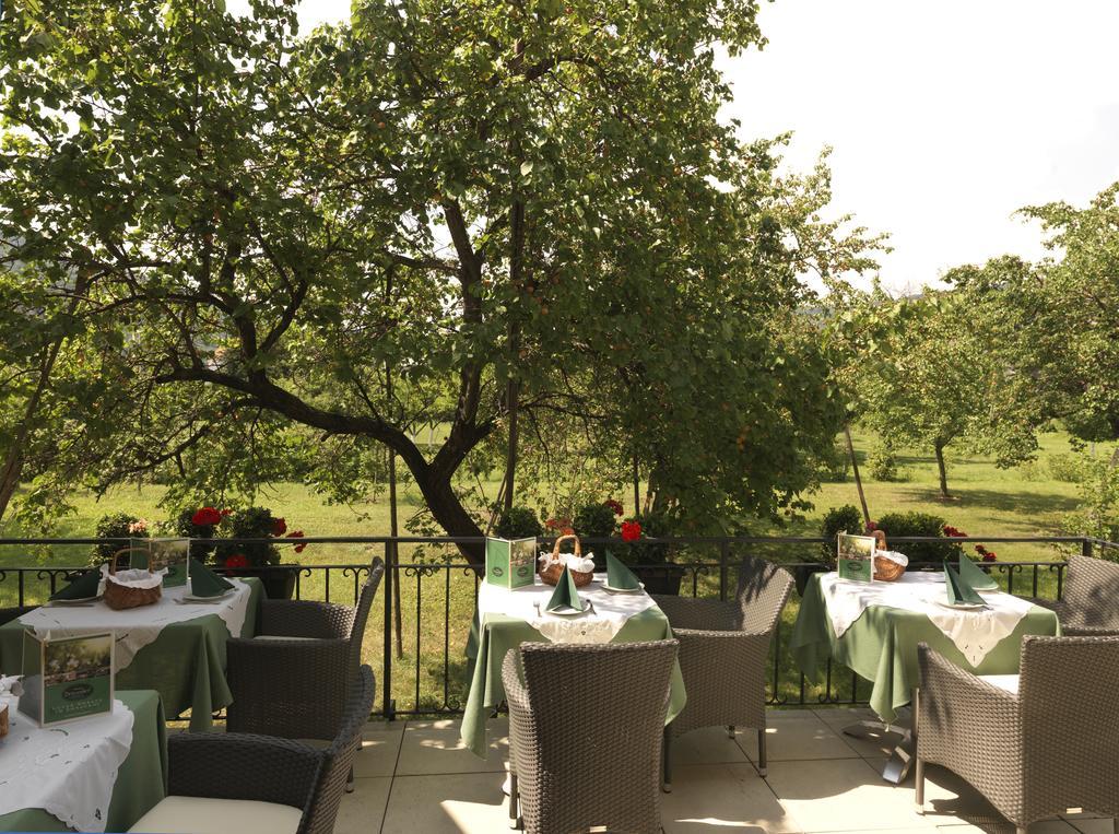 Donauhof - Hotel Garni Weissenkirchen in der Wachau Bagian luar foto