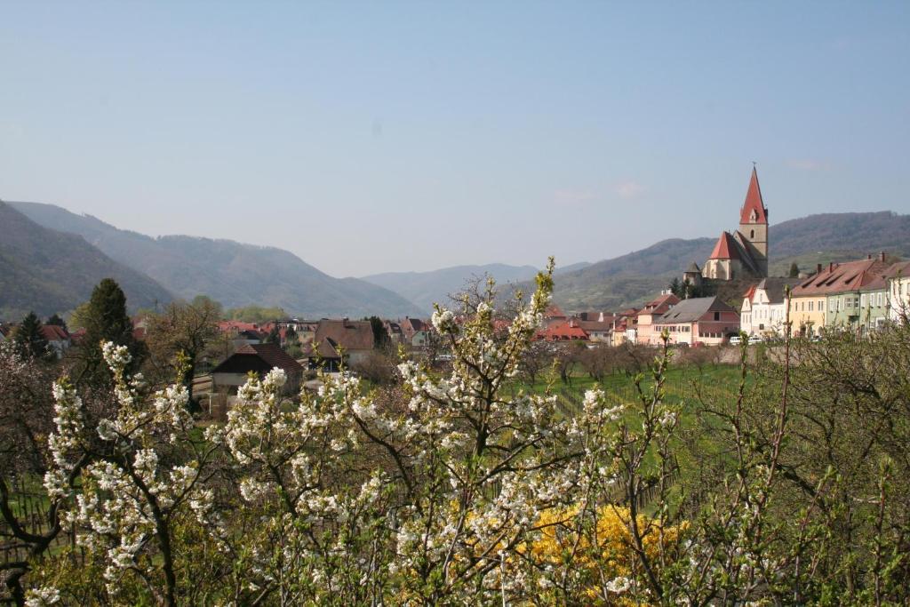 Donauhof - Hotel Garni Weissenkirchen in der Wachau Bagian luar foto
